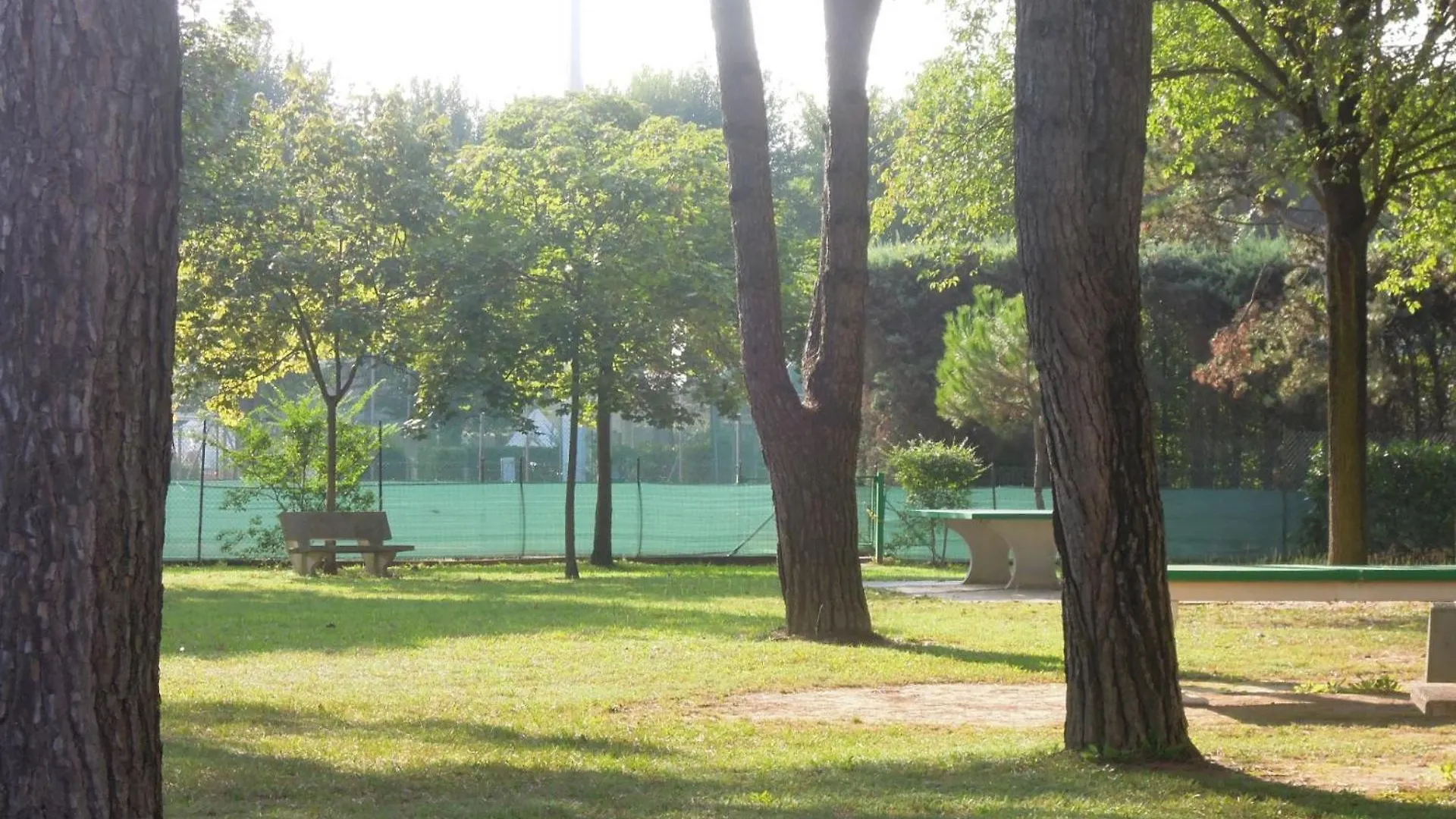 ביביונה Villaggio Olimpia